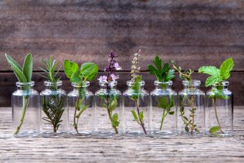 Surse vegetale bogate in carotenoide