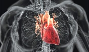Bolile cardiovasculare – de la recomandarile ghidurilor la realitatea clinica