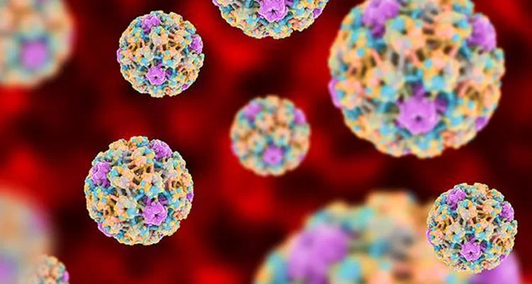 Infectie genitala cu Human Papilloma Virus (HPV)