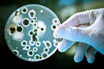 Penicilinele si beta-lactaminele, farmacologie si terapeutica