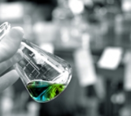 sistemul unic de diagnostic molecular si identificare a terapiilor tintite pentru cancer – acum si in Romania