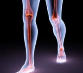 CELLULAR AND MOLECULAR MECHANISMS OF BONE HEALING