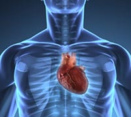 endocardita infectioasa