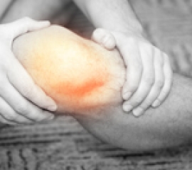 Ligamentele colaterale ale genunchiului