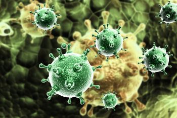 Molecular changes in H5N1 influenza, a virus receptor binding specificity and virulence