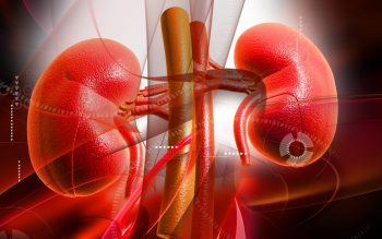Nefropatia diabetica – diagnostic si tratament