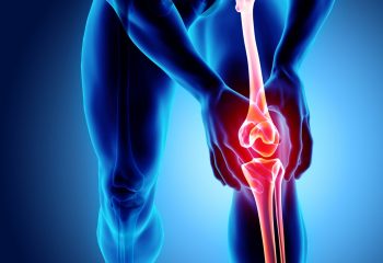 New insights in bone fracture healing