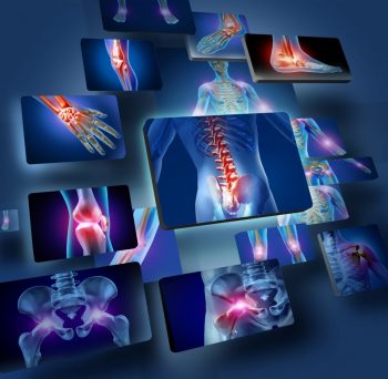 New insights into bone remodelling cycle