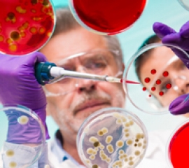 Competitia Pfizer pentru cercetatorii in domeniul bolilor cardiovasculare