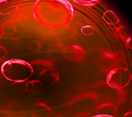 Academia de Hemofilie 2015 - un proiect unic pentru bolnavii de hemofilie