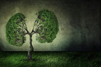 A  IV-a Conferință Managementul Bolilor Pulmonare are loc pe 2-3 octombrie