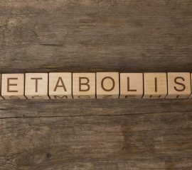 rata metabolica