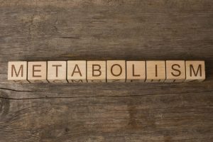 rata metabolica