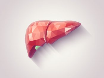 Se lucrează la crearea unui ficat artificial în laborator
