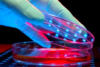Provocări şi implicaţii ale nanotehnologiei în practica medicinei muncii