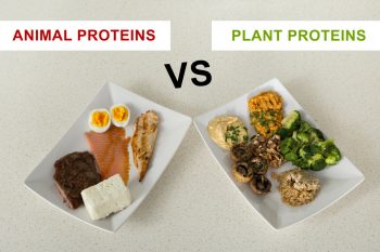 Proteinele de origine animală versus proteinele vegetale