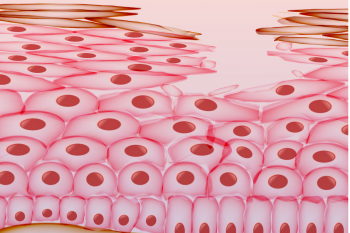 Celulele pielii pot fi reprogramate în celule dendritice