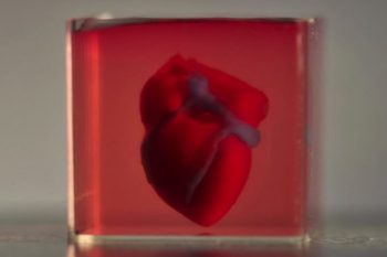 Prima inimă 3D vascularizată a fost creată în laborator! (VIDEO)