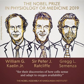 Premiul Nobel pentru Medicină a fost câştigat de trei oameni de ştiinţă