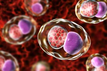 Un vaccin împotriva Chlamydiei a trecut primele teste clinice