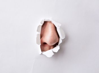 Cum detectează nasul combinațiile diferite de mirosuri