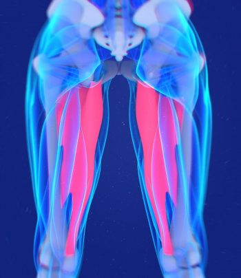 Diagnosticul și tratamentul leziunilor musculo-tendinoase ale adductorilor