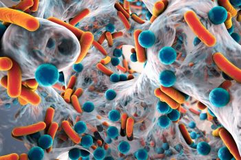 O peptidă artificială, eficientă în cazul bacteriilor rezistente la antibiotice