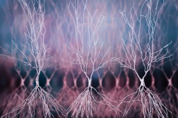 Un grup de neuroni ajută la mişcarea ochilor în spaţiul 3D