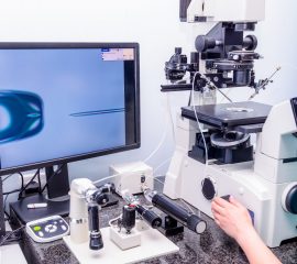 Fertilizarea-in-vitro-tehnic-recomandări-contraindicații