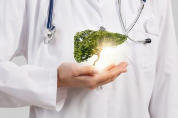 Plante utile în afecțiunile hepatobiliare