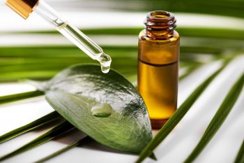 Beneficiile terapeutice ale uleiului de tea tree (Melaleuca alternifolia)