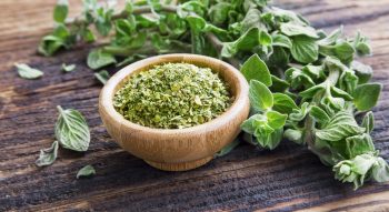 Activitatea antimicrobiană a plantelor medicinale