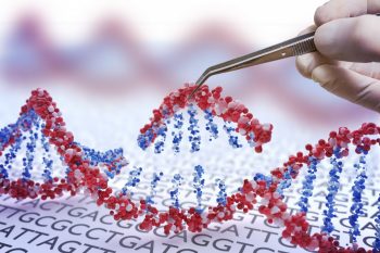 Oamenii de știință au publicat primul genom uman complet