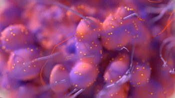 Studiu: Virusul care distruge celulele canceroase
