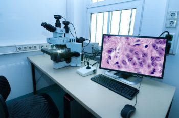 Metabolismul celulelor canceroase