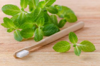 Plante utile în stomatologie