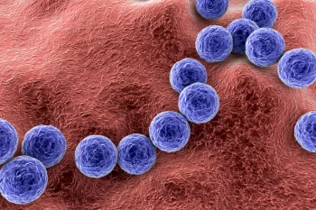 Terapia cu antibiotice în faringo-amigdalita cu Streptococcus pyogenes