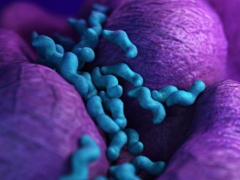 Managementul infecției cu Campylobacter