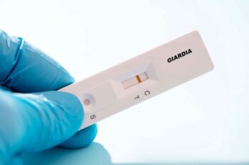 Infecția cu Giardia (giardioza) – semne, simptome și modalități de tratament