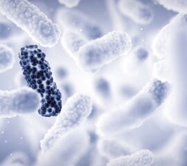 rezistenta antibiotice