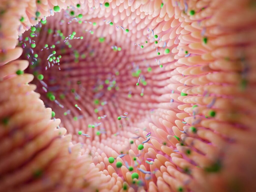 microbiota