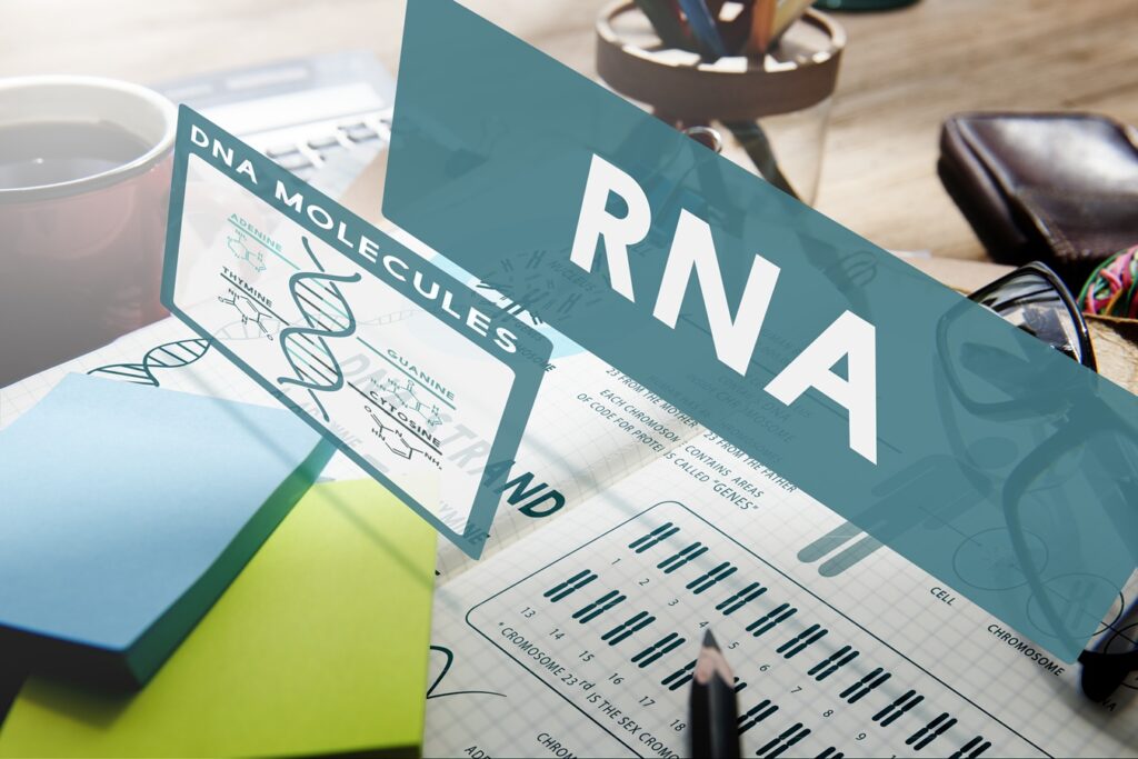 arn sau rna
